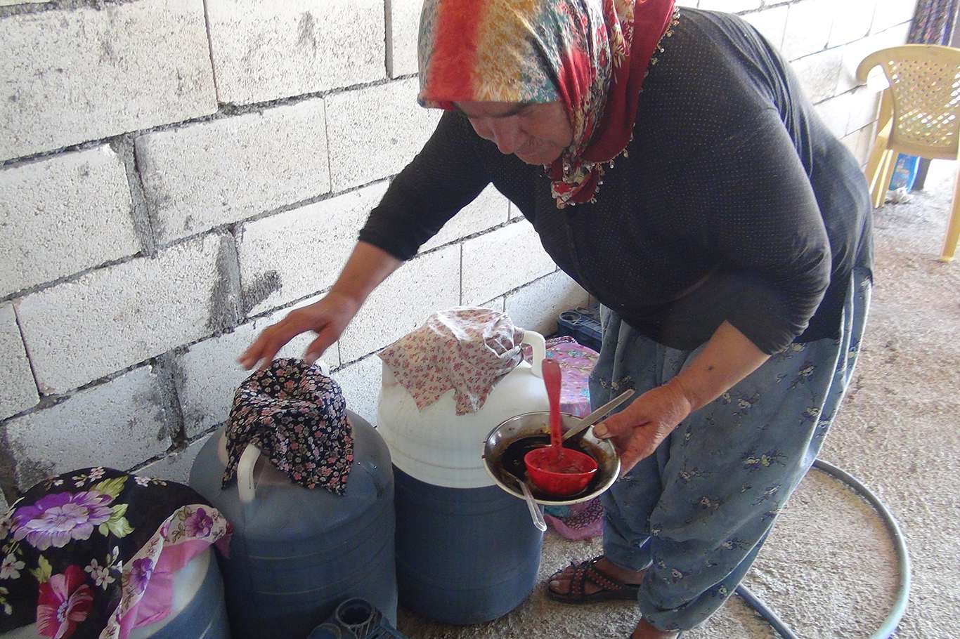 Üzümün pekmez ve pestil olma yolculuğu başladı